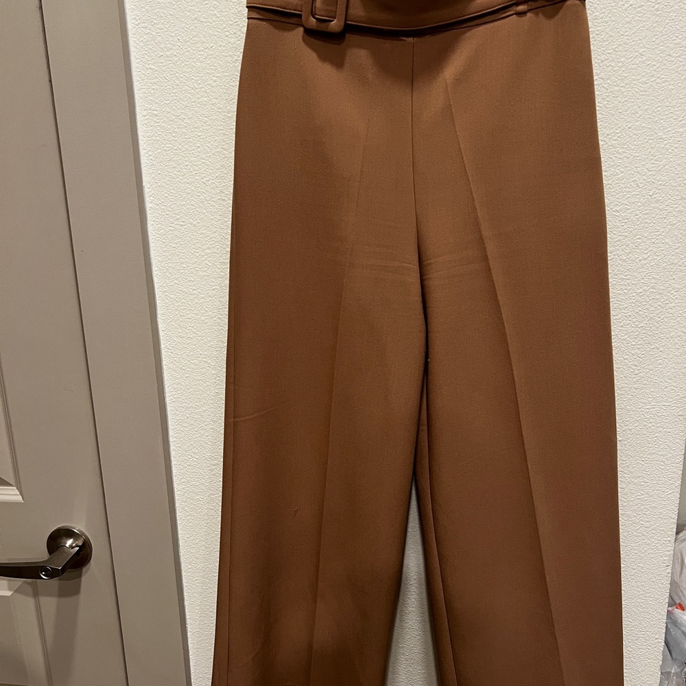 Zara Brown Women's Pants